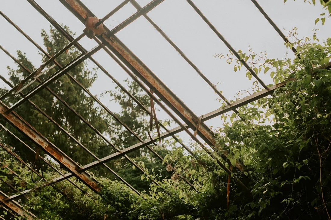 sesja-slubna-park-kolibki-szklarnia-fotograf-gdynia