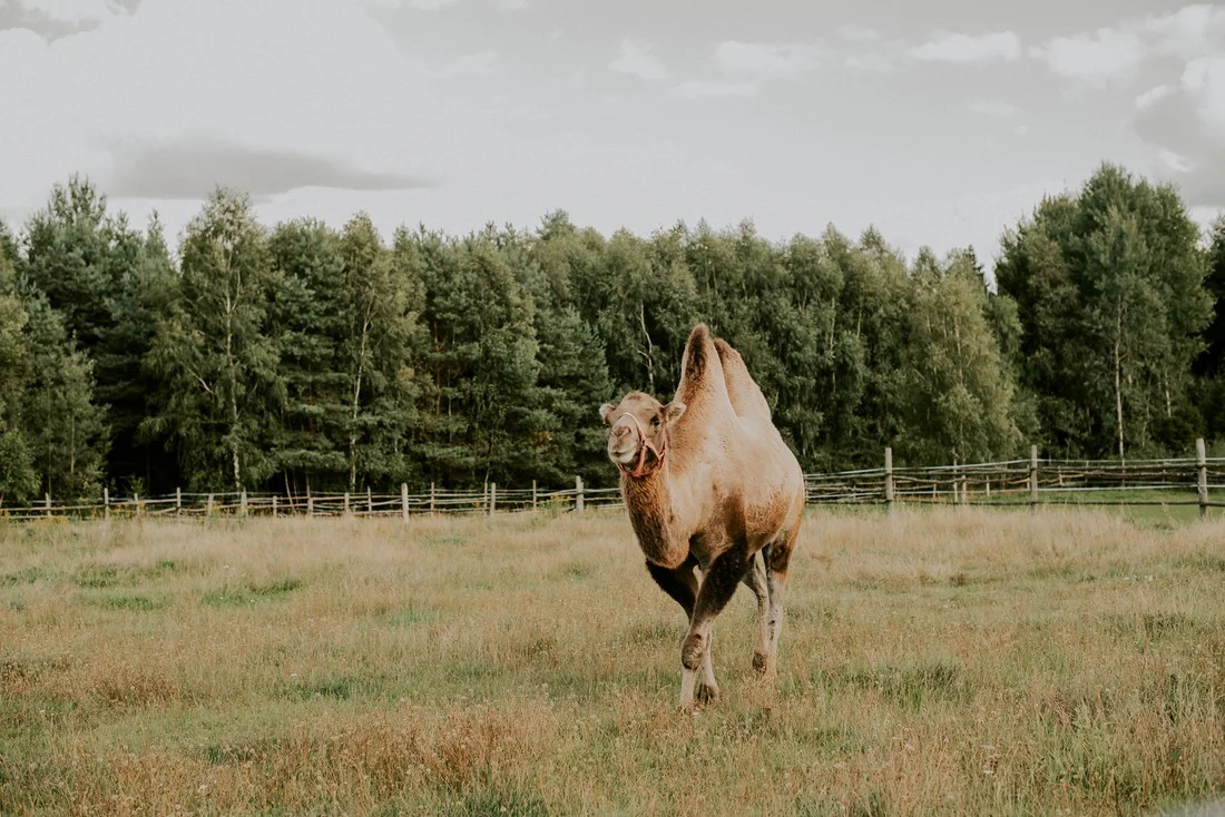 boho-wieczor-panienski-fotograf-trojmiasto
