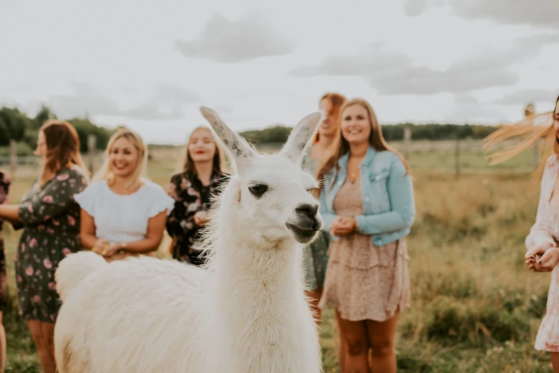 boho-wieczor-panienski-fotograf-trojmiasto